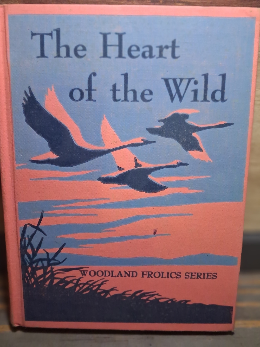 The Heart of the Wild Vintage Illustrated Hardcover Book